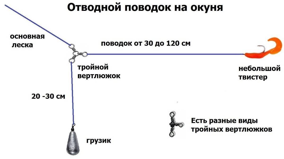 Особенности ловли жереха на спиннинг