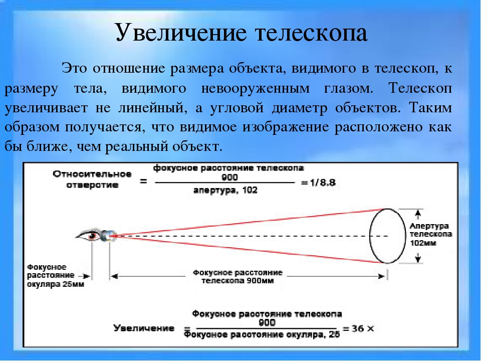 Лучшие бинокли