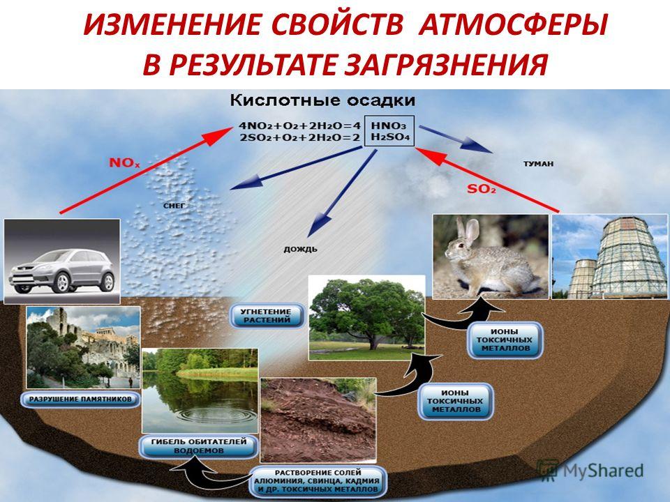 Крупнейшие природные катастрофы xxi века   | материнство - беременность, роды, питание, воспитание