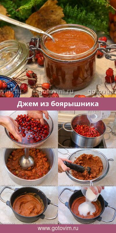 Самые оригинальные рецепты приготовления боярышника на зиму