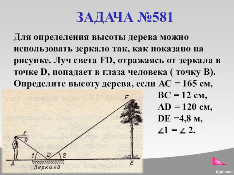 Можно на расстоянии до 5. Измерение высоты дерева. Измерение высоты предмета с помощью зеркала. Как определить высоту дерева с помощью зеркала. Определить высоту дерева.
