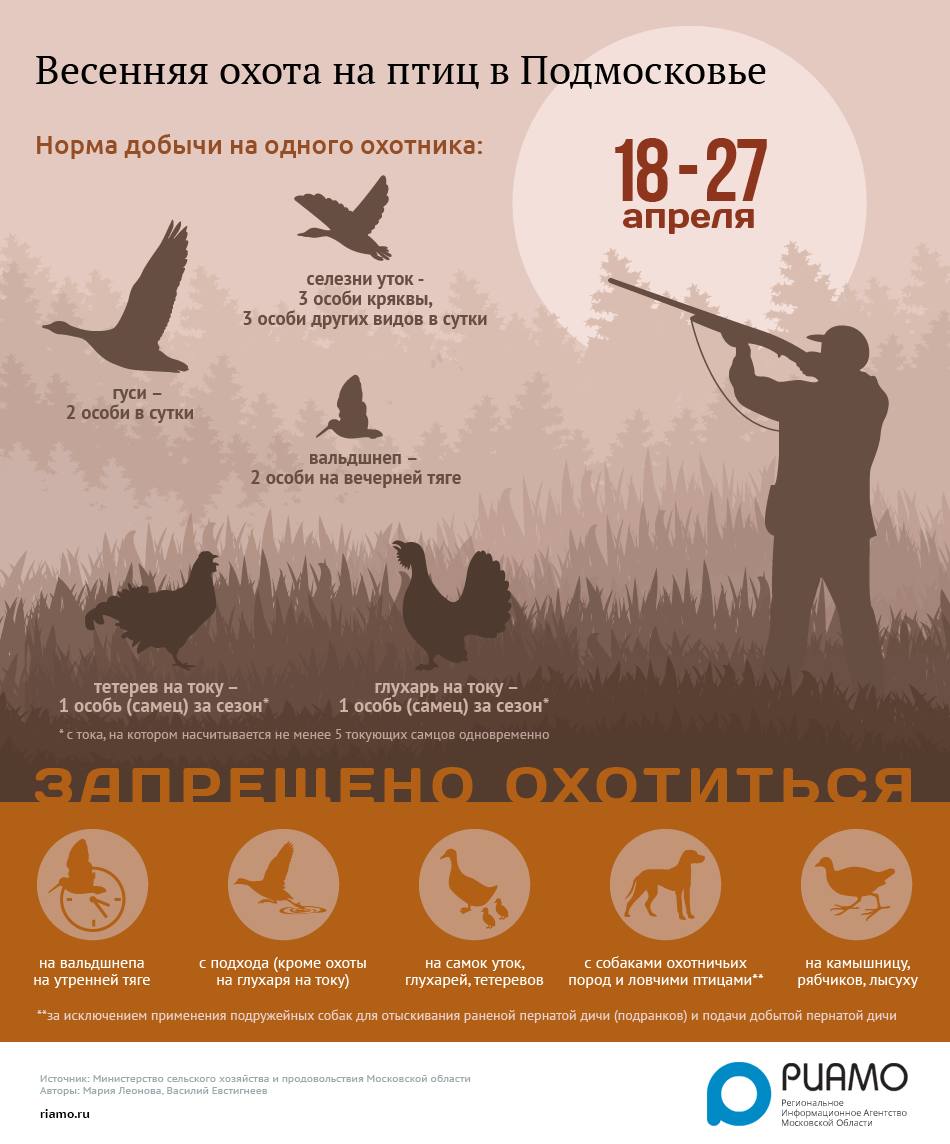 Какого числа открытие на утку. Охота на птицу в Подмосковье. Инфографика охота. Птицы на которых охотятся в Подмосковье.