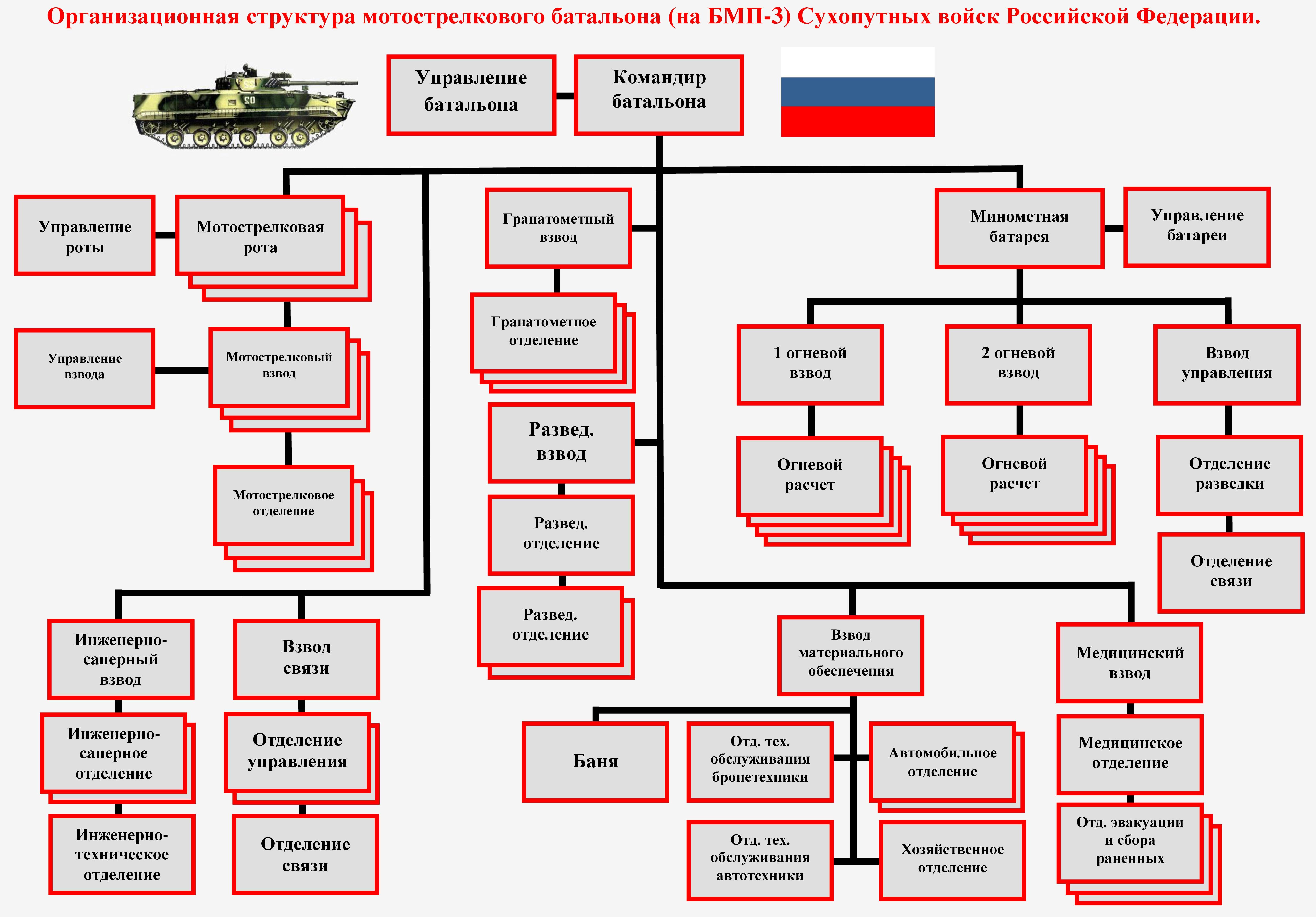 Организационная структура мотострелкового батальона РФ