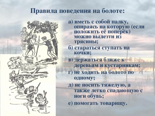 Кандай болот. Правило поведения на болоте. Правила безопасности на болотах. Правило безопасности в болоте. Памятка поведения на болоте.