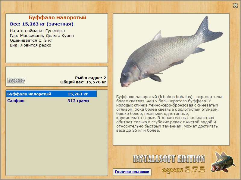 Буффало (рыба). речная рыба буффало: фото и описание. где водится рыба буффало? :: syl.ru