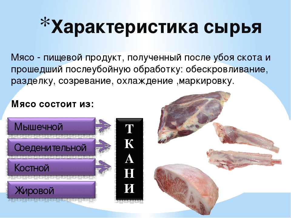 Лосятина: лучшие блюда, рецепты приготовления. как вкусно приготовить из лосятины гуляш, отбивные, котлеты, шашлык, суп, пельмени, бастурму, колбасу, тушенку, бефстроганов, холодец, плов, жаркое в дом