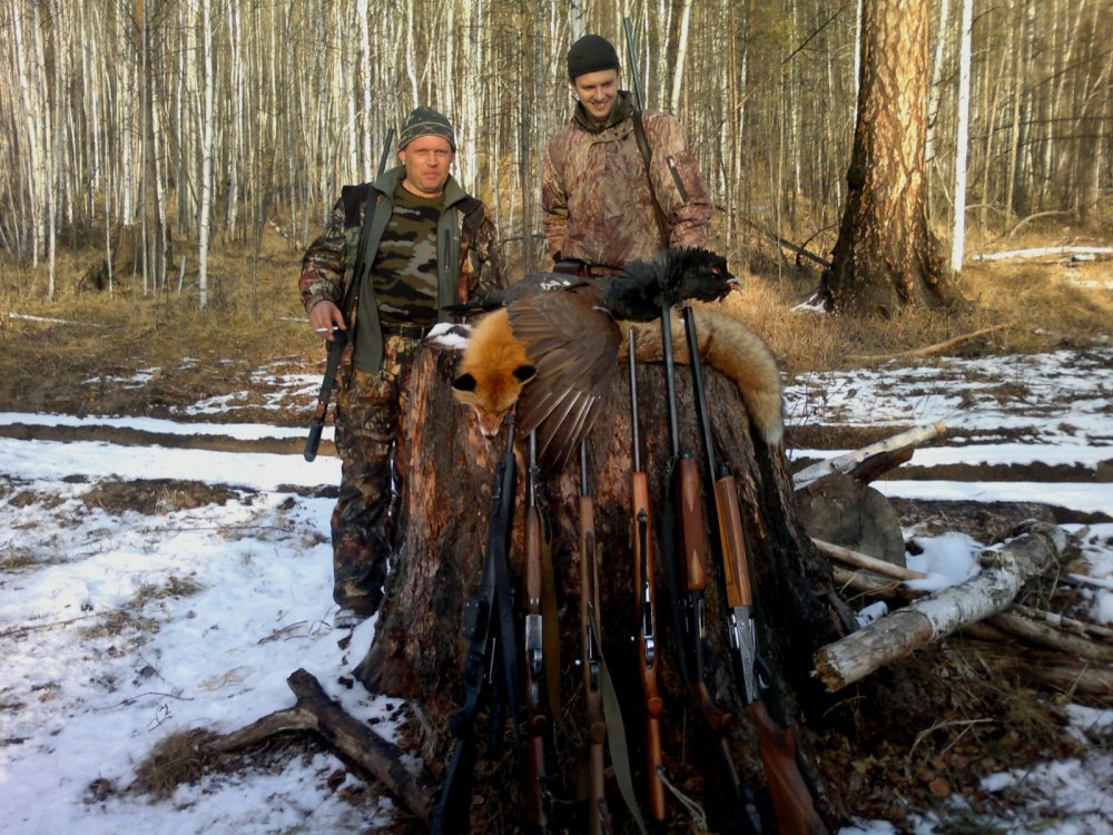 Особенности охоты на лося: советы начинающим охотникам