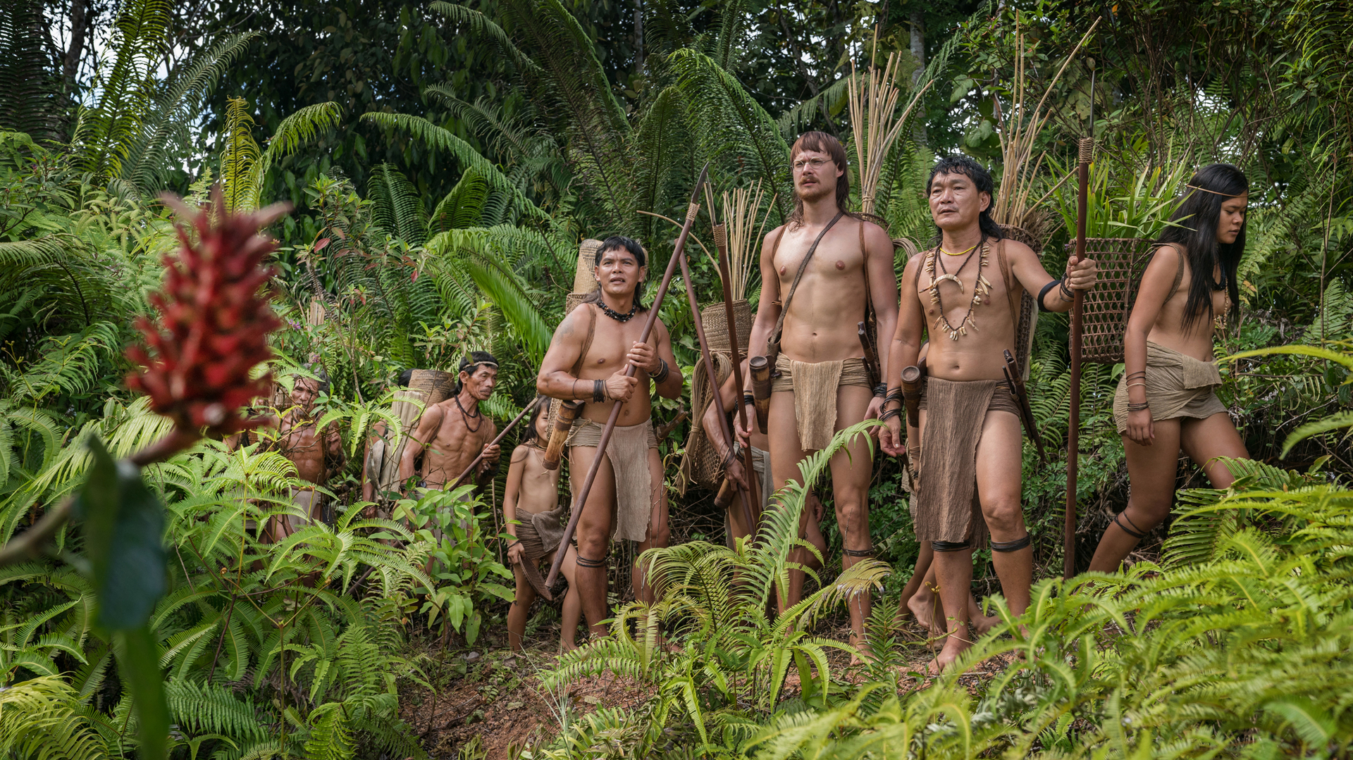 амазонки на острове