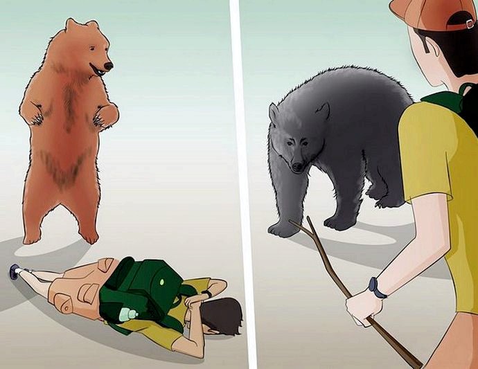 Охотятся ли медведи на людей в реальной жизни?
