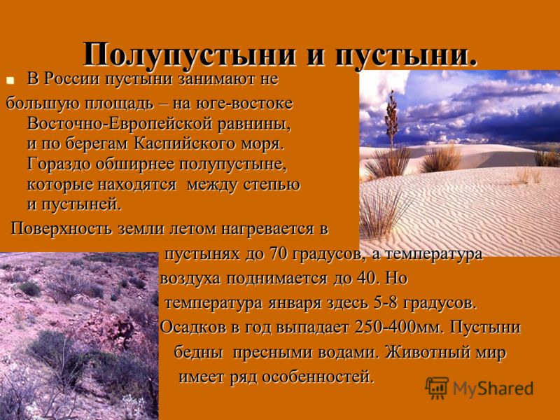 Полупустыни температура летом и зимой. Растительный мир зоны пустынь и полупустынь России. Пустыни и полупустыни климат. Природные зоны пустыни и полупустыни. Растительный мир пустыни и полупустыни в России.