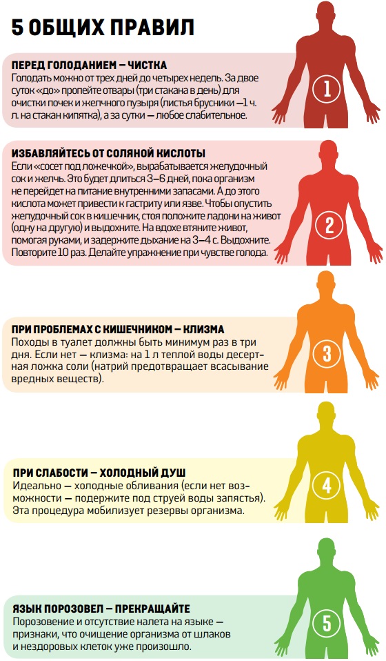 Сколько человек продержится без еды medistok.ru - жизнь без болезней и лекарств medistok.ru - жизнь без болезней и лекарств