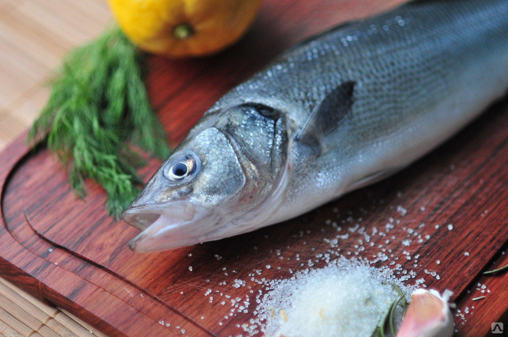 Рыба сибас фото и описание. кулинарные и вкусовые качества рыбы.