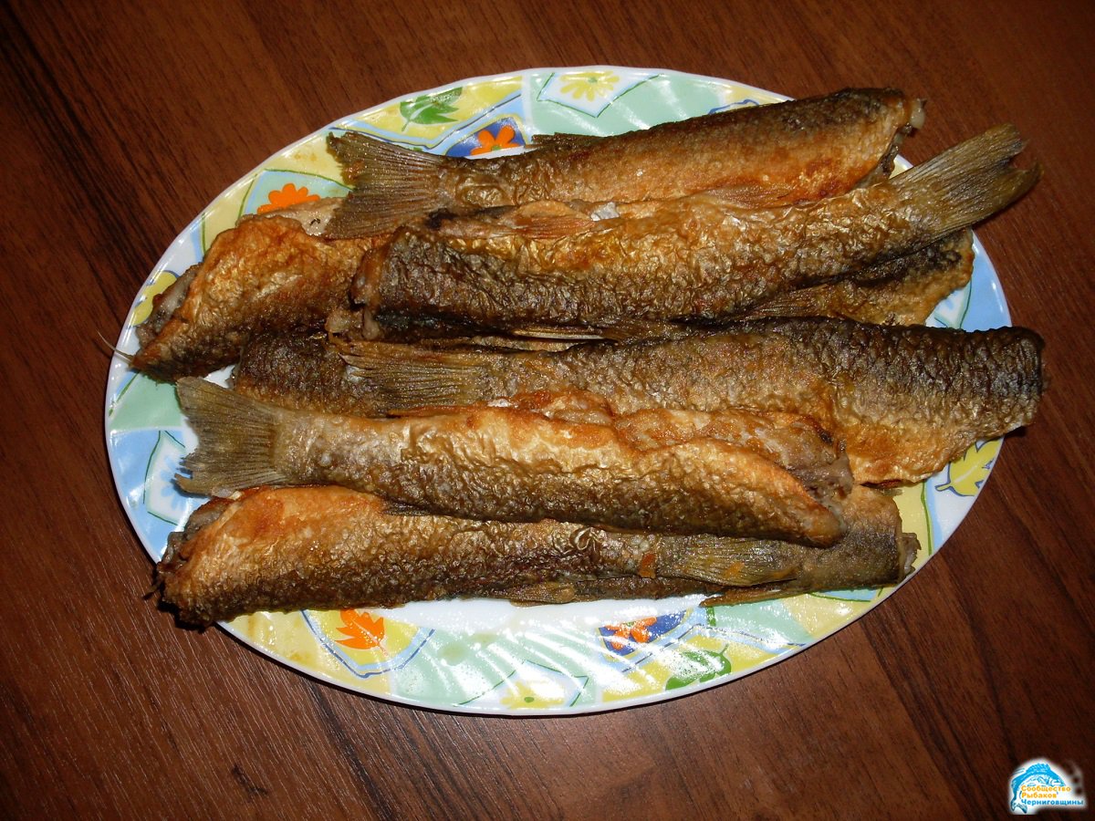 Рыба камбала🐟: фото и описание. как выглядит камбала👍, и какая это рыба морская или речная?