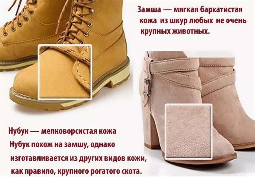 Выделка шкур крс в домашних условиях: правила обработки и классификация