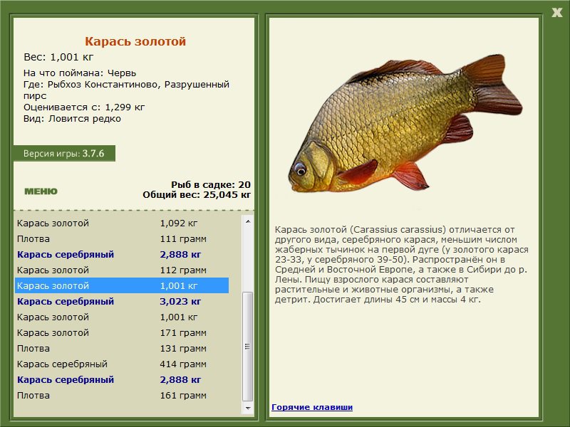 Гороховая мастырка для рыбалки. рецепты приготовления