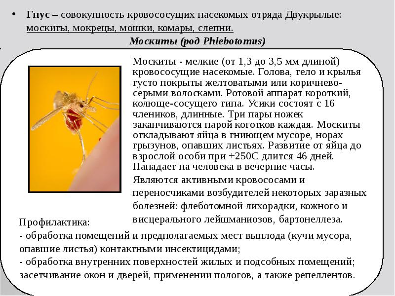 Диэтилтолуамид (дэта) | справочник пестициды.ru