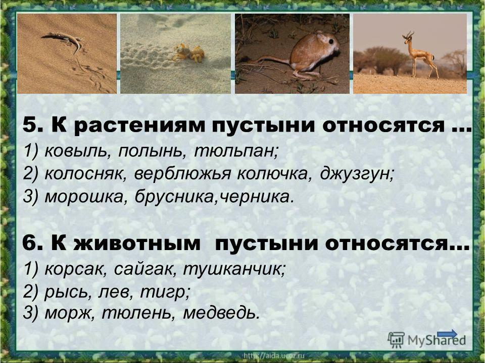 Экологические проблемы зоны пустынь и полупустынь. Пустыня 4 класс. Животные и растения пустыни. Обитатели зоны пустыни.