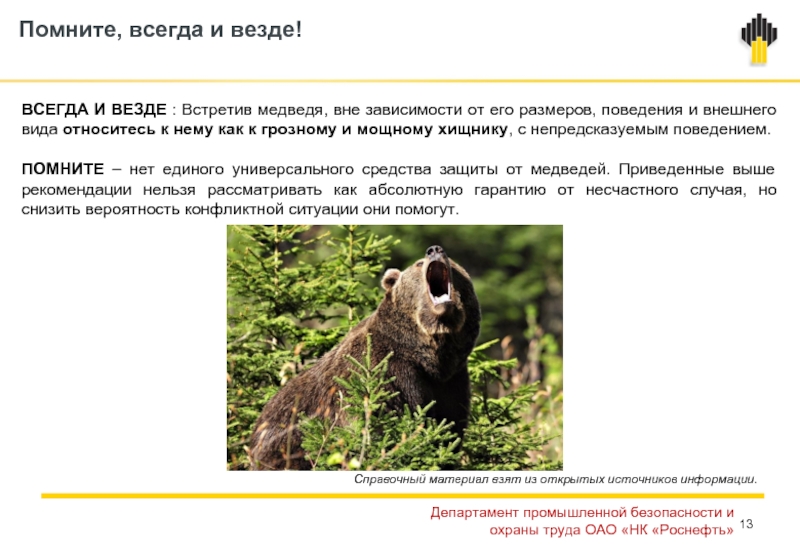 Правила поведения в лесу при встрече с медведем