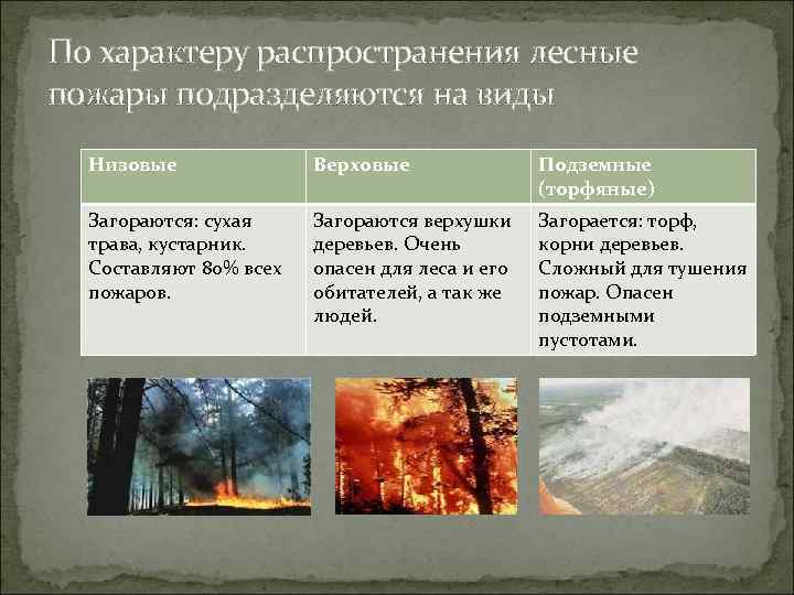Лесные пожары: виды и классификация
