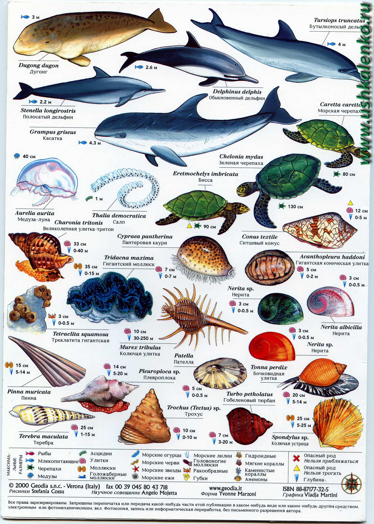 Рыба в черном море список