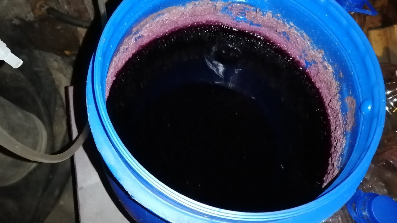 Сливать вино. Снятие вина с осадка. Осветление виноградного сусла. Переливка вина. Слить вино с осадка.