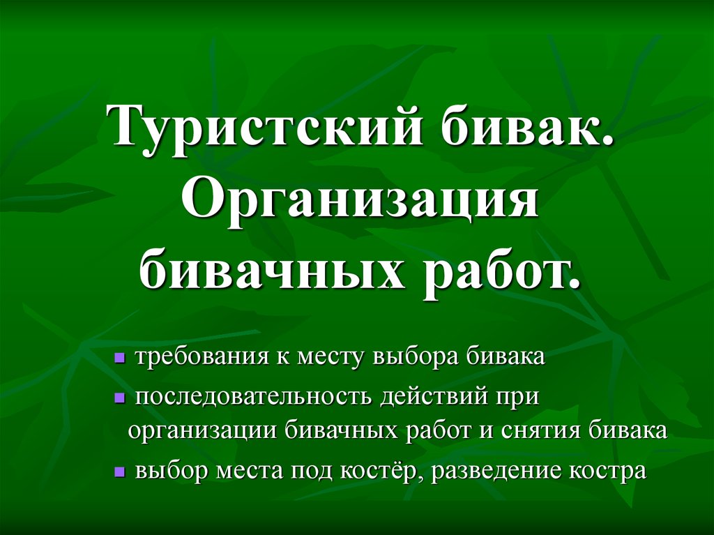 Обеспечение безопасности при выборе места для бивуака обж 8 класс презентация