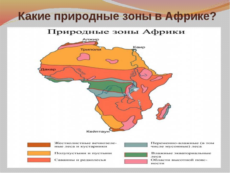 Какие природные зоны в восточной африке. Климат Африки природные зоны 7 класс. Африка природные зоны и климатические пояса карта. Природные зоны Марокко 7 класс. Северная Африка природные зоны климатический пояс.