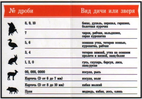 Охота на зайца в России имеет глубокие традиции, уходящие корнями в далекое прошлое Популярна она и в наше время благодаря большой популяции зайца, всесезонности и разнообразию способов охоты на него
