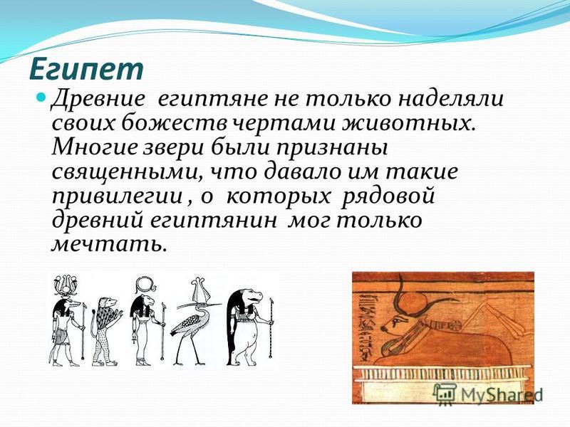 Животные, которые убивают больше всего людей :: инфониак