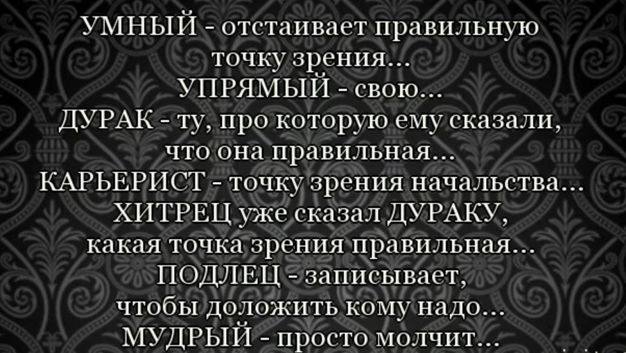 Среди доказывать. Точка зрения цитаты. Цитаты про дураков. Дураки картинки с высказываниями. Высказывания о дураках.