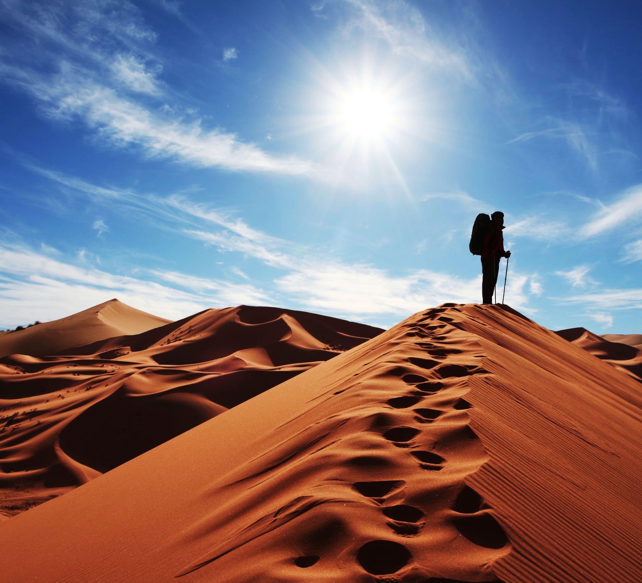 Уроки выживания в пустыне. основы выживания в пустыне