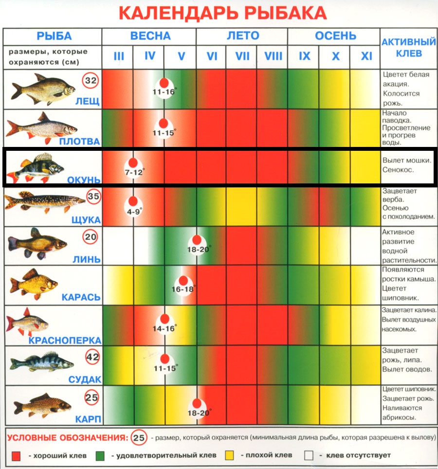 Таблица клева рыбы
