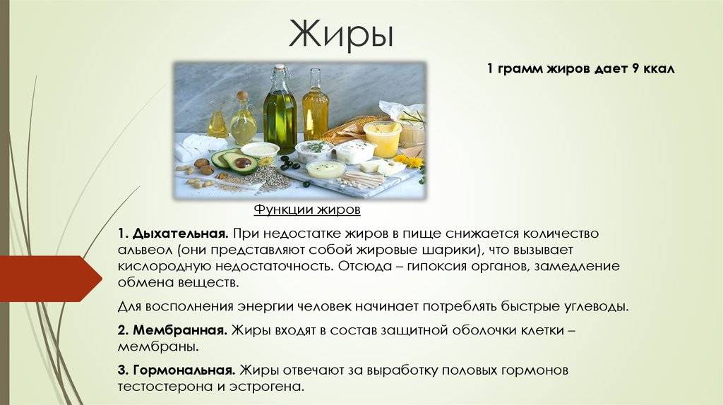 Жиры, строение, источники для организма и их разновидности