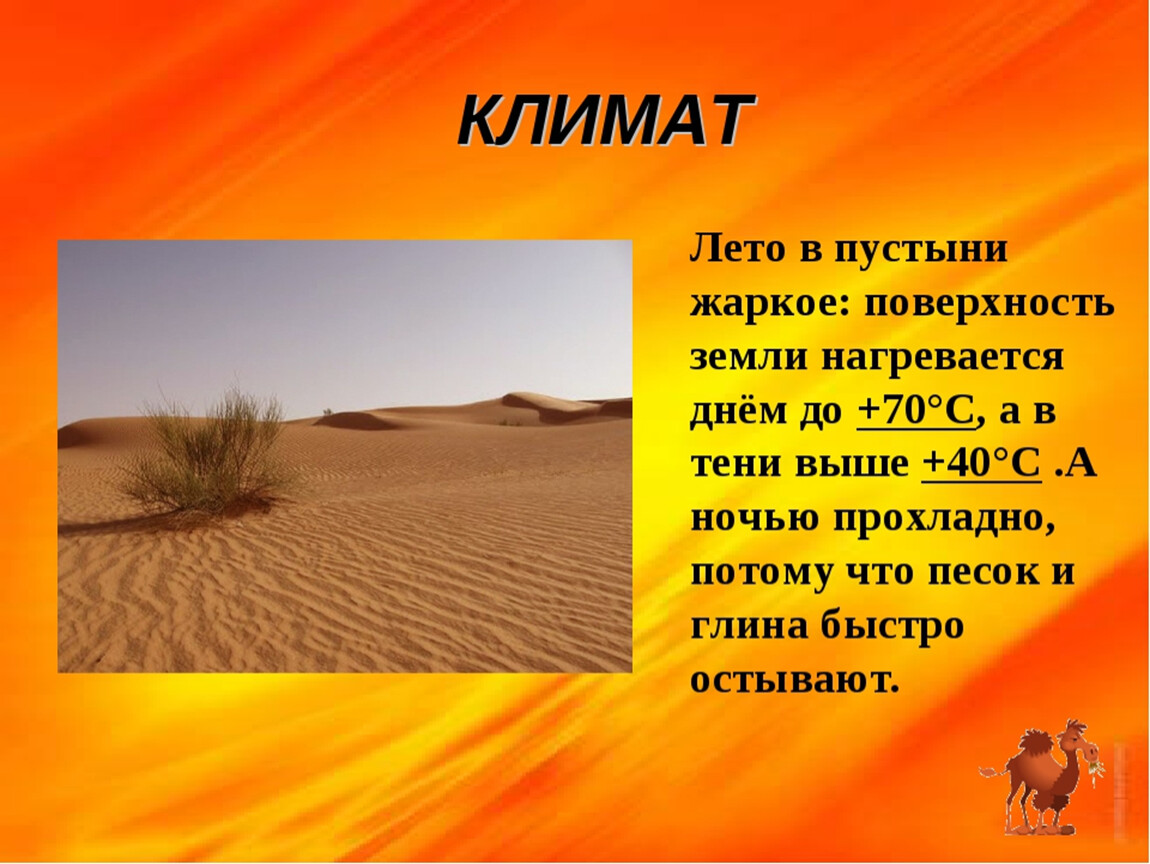 Средняя температура июля в полупустынях