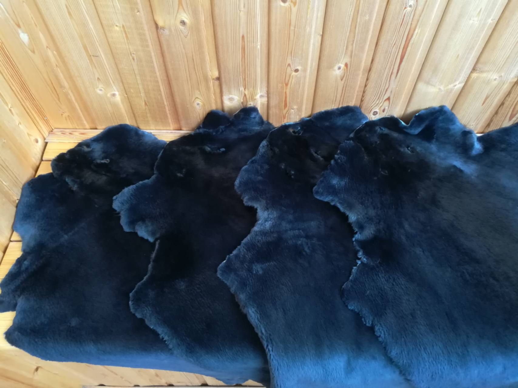 Спят ли мыши зимой, где они зимуют и как готовятся к зиме?