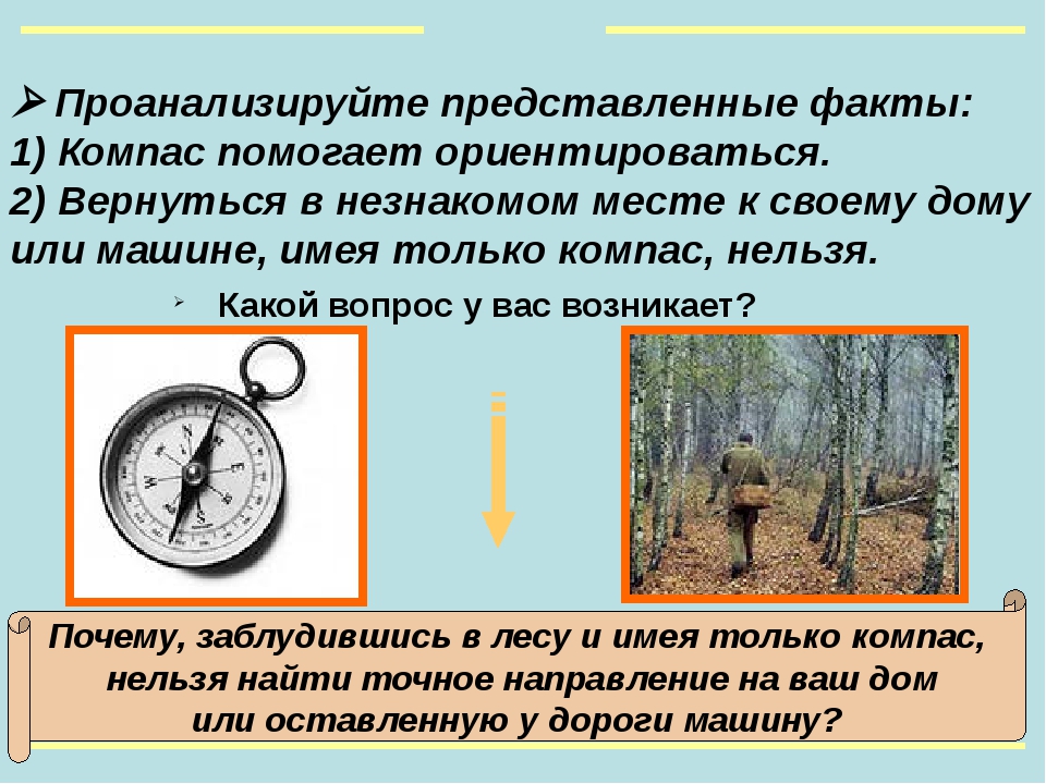 Как определить направление по компасу. Ориентирование в лесу по компасу. Ориентироваться по компасу в лесу. Ориентирование с компасом в лесу. Ориентирование на местности компас.