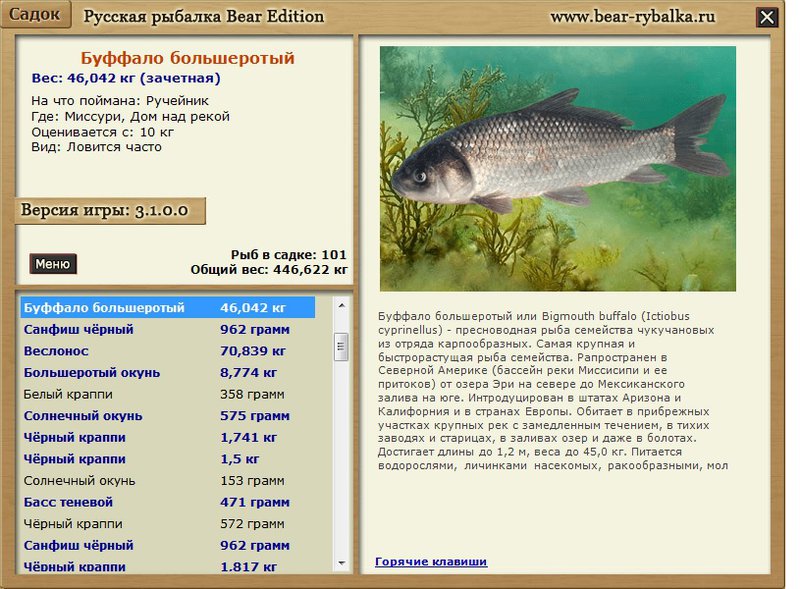 Рыба буффало: фото, описание жизненного цикла, места обитания, особенности ловли