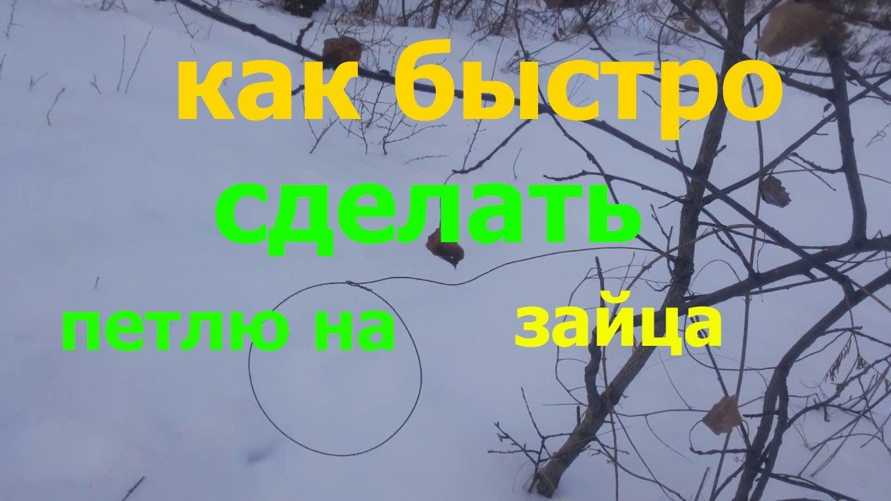 Каков штраф за спиленное дерево в лесу и в посадке, можно ли пилить и вывозить сухие, упавшие и поваленные, что будет с нарушителями закона?