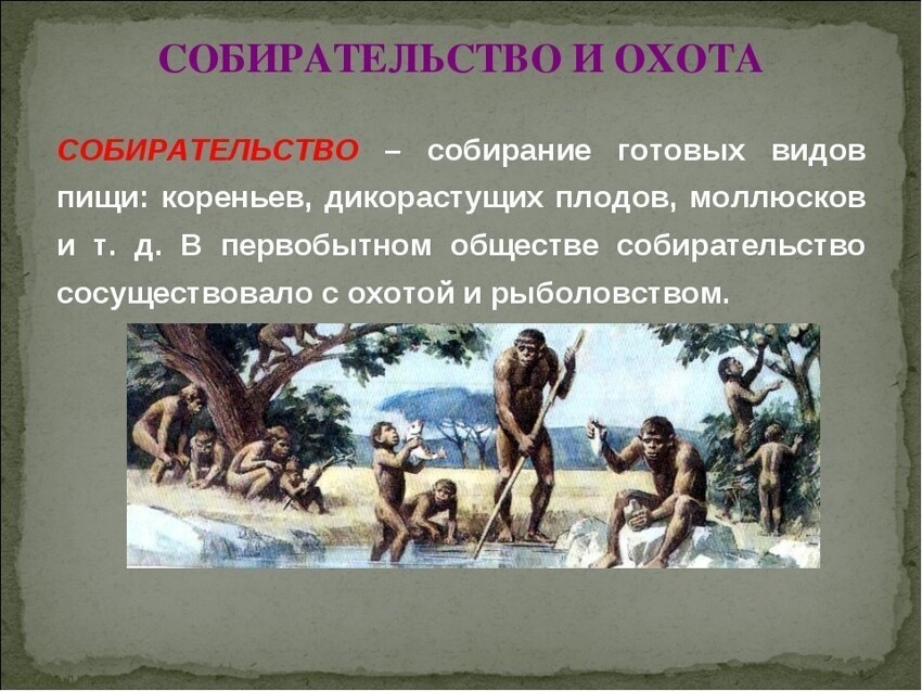 Сочинение на тему «поход в лес» — как правильно изложить свои мысли