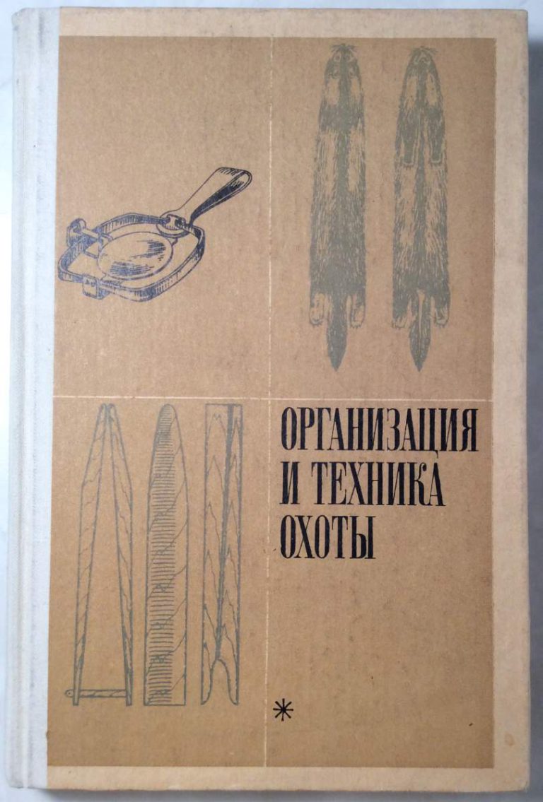Что делать, если встретишь медведя: порядок действий, особенности поведения зверя, советы опытных охотников - truehunter.ru